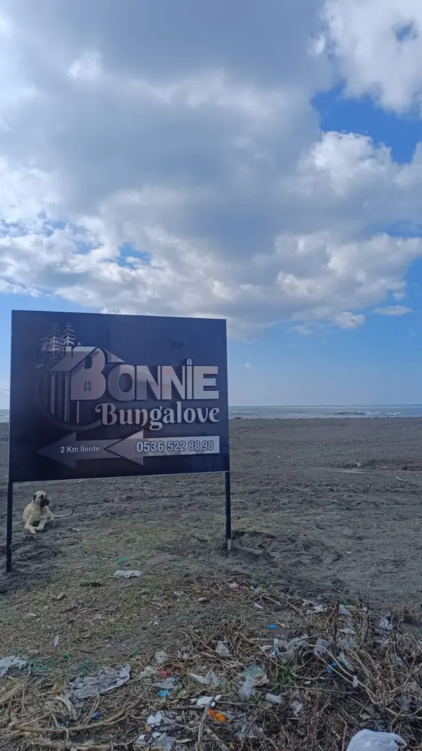 Bonnie Bungalove — Hatay — küçük resim 5
