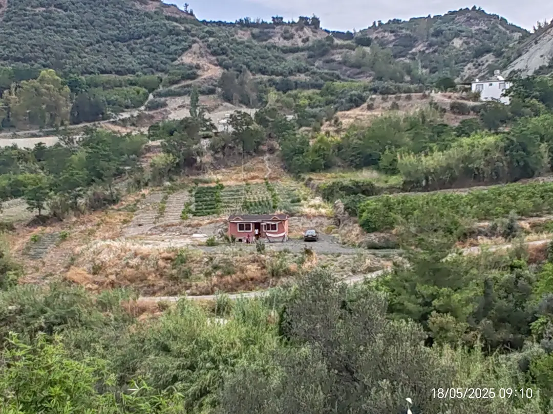 Limon bungalov Beyköy