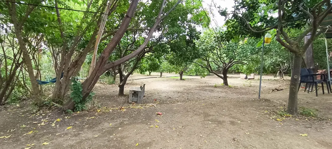 Uğur Karavan Camping — Hatay — küçük resim 7