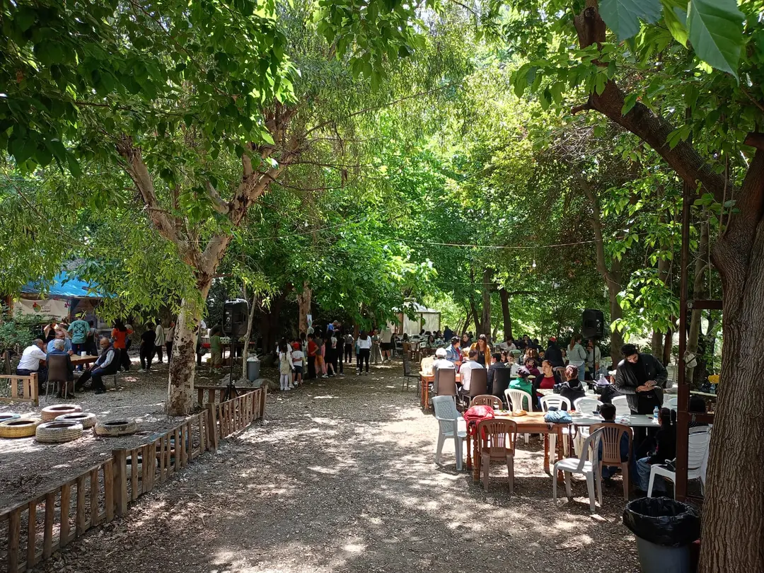 Vadi Piknik ve Restaurant Yaylıca/Samandağ — Hatay — fotoğraf 1