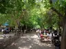Vadi Piknik ve Restaurant Yaylıca/Samandağ