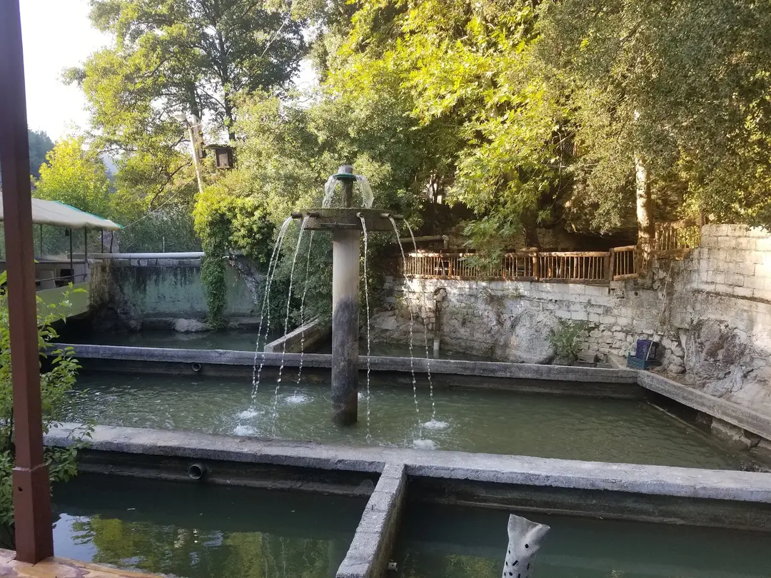 Vadi Piknik ve Restaurant Yaylıca/Samandağ — Hatay — küçük resim 5