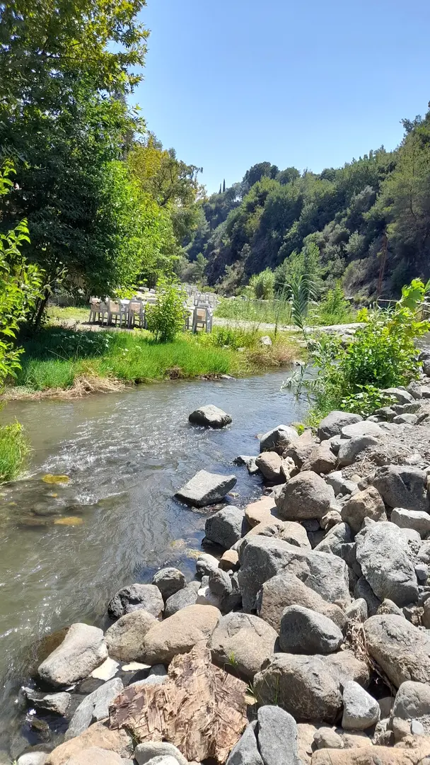 Vadi Piknik ve Restaurant Yaylıca/Samandağ — Hatay — küçük resim 3