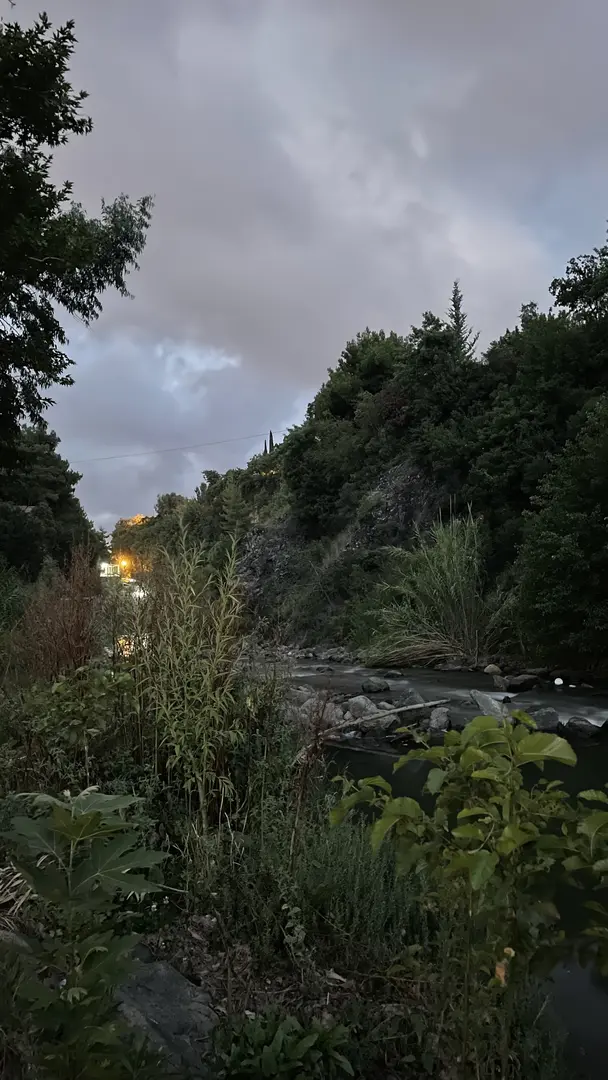 Vadi Piknik ve Restaurant Yaylıca/Samandağ — Hatay — küçük resim 9