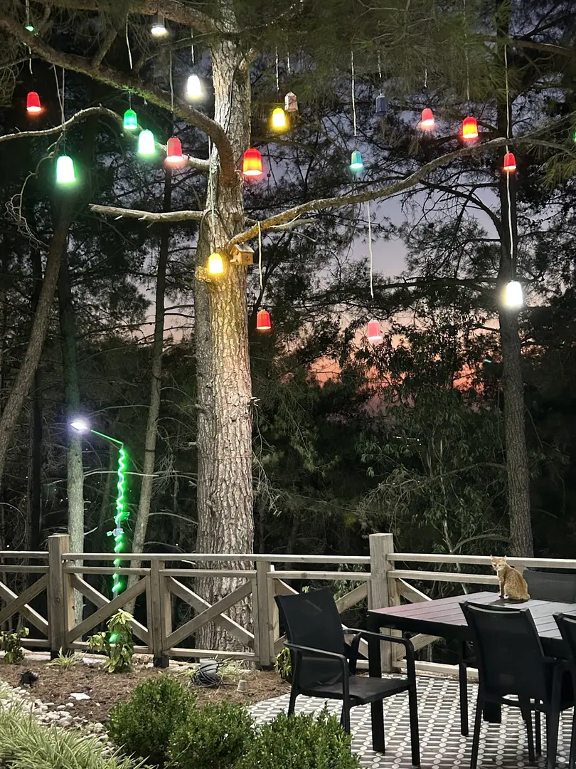 Şahin Tepesi Tabiat Parkı — Hatay — küçük resim 5