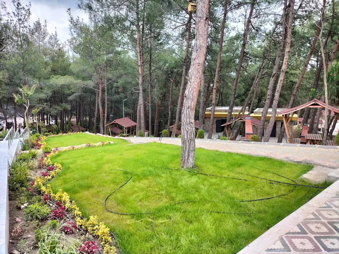 Şahin Tepesi Tabiat Parkı — Hatay — küçük resim 2
