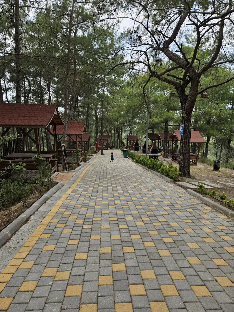 Şahin Tepesi Tabiat Parkı — Hatay — küçük resim 8