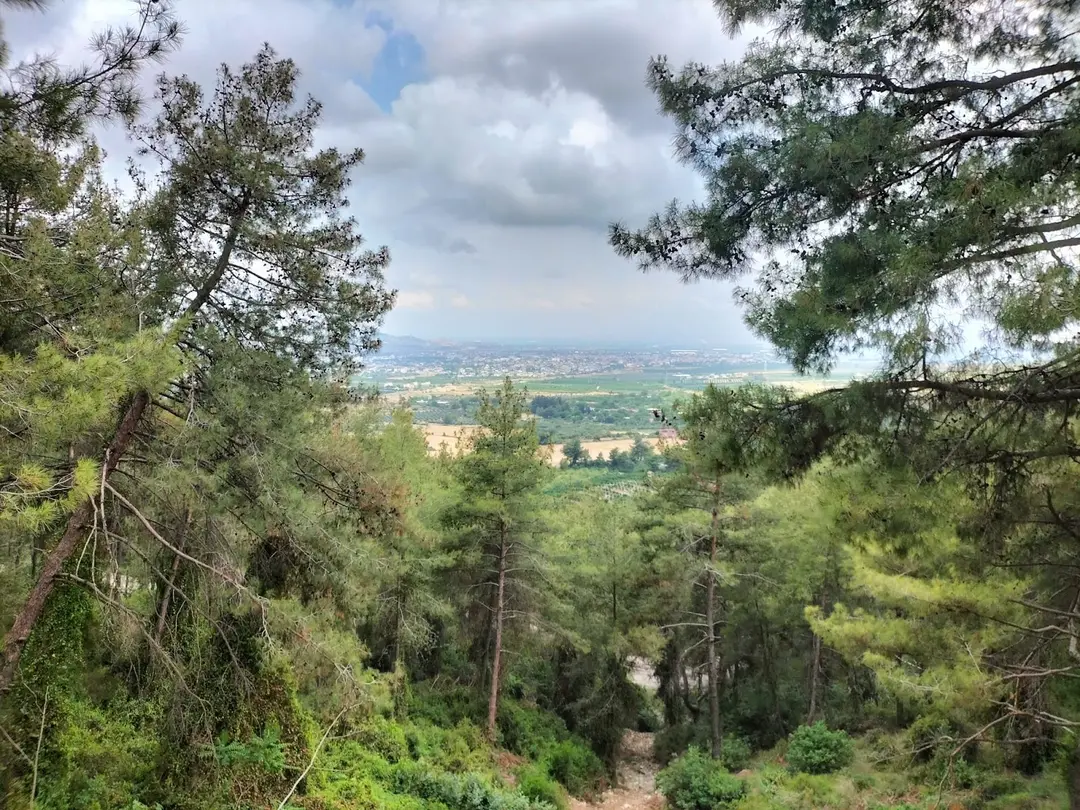 Şahin Tepesi Tabiat Parkı — Hatay — küçük resim 3