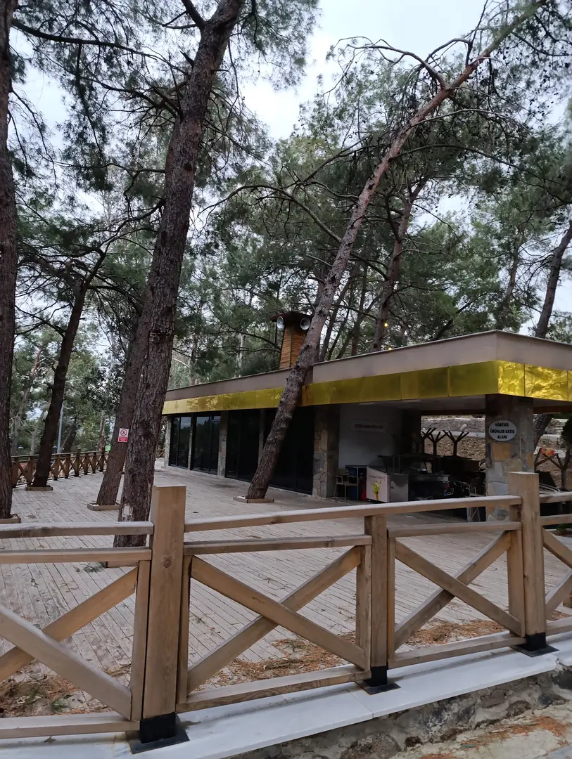 Şahin Tepesi Tabiat Parkı — Hatay — küçük resim 6