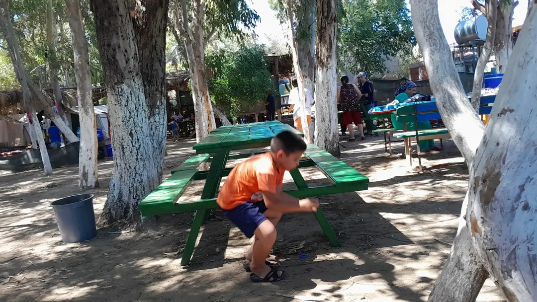 Kelebek Vadisi Campingplads — Adana — küçük resim 3