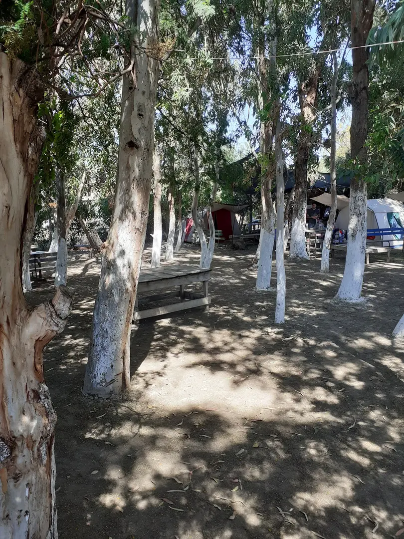 Kelebek Vadisi Campingplads — Adana — küçük resim 2
