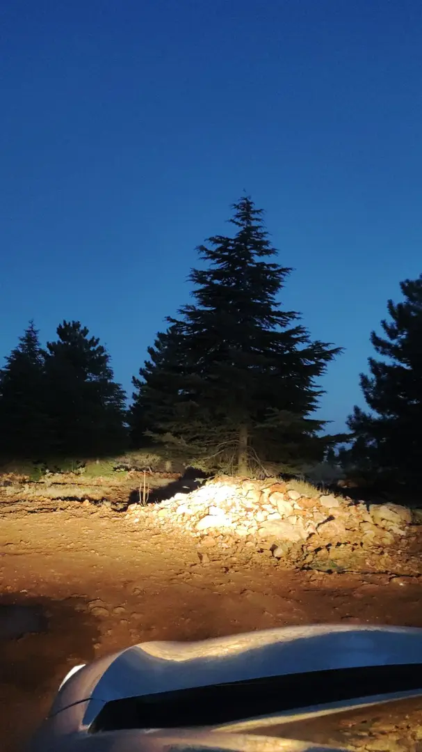 Rotasız Gezginler Kamp Alanı 2
