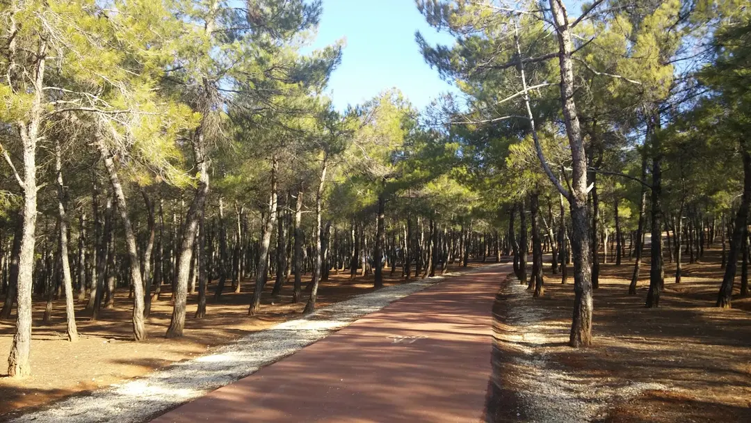 Burç Tabiat Parkı — Gaziantep — küçük resim 2