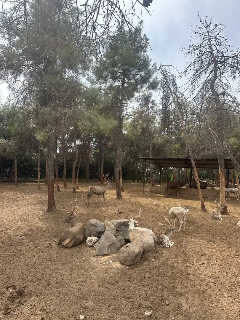 Burç Tabiat Parkı — Gaziantep — küçük resim 9