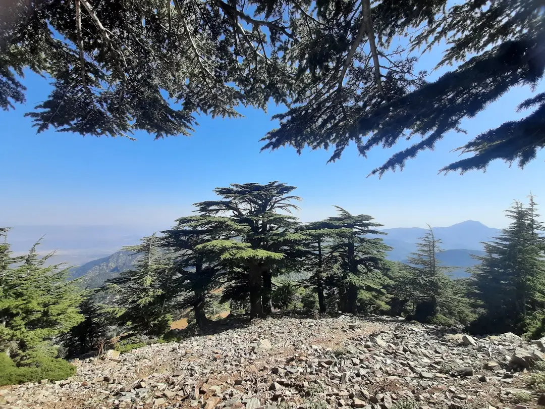 Mığır Tepesi