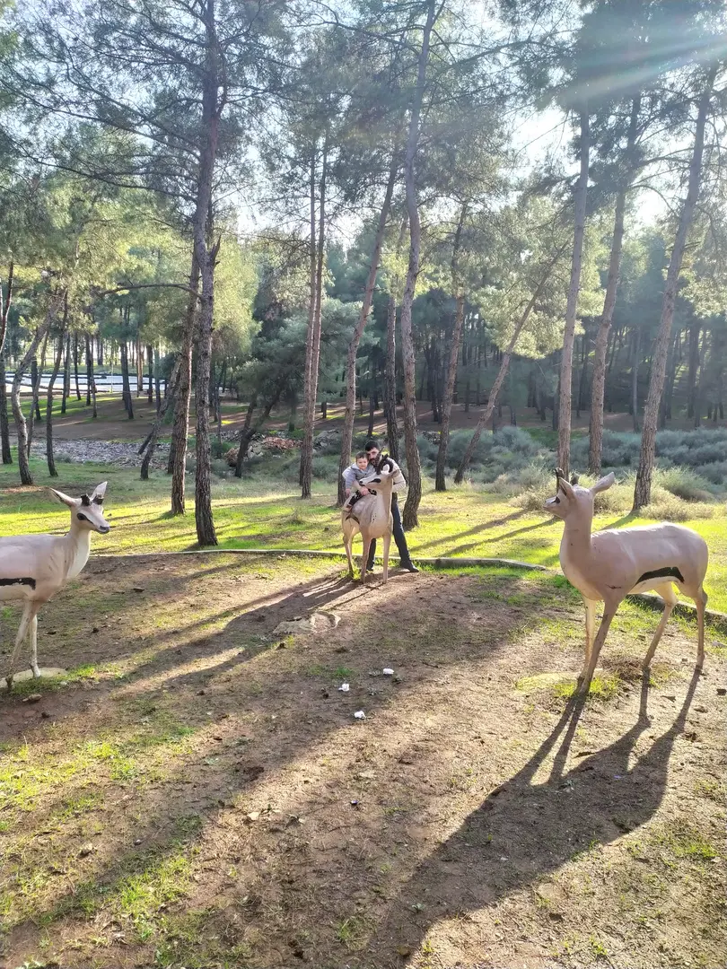 Kırıkhan Kent Ormanı — Hatay — küçük resim 7