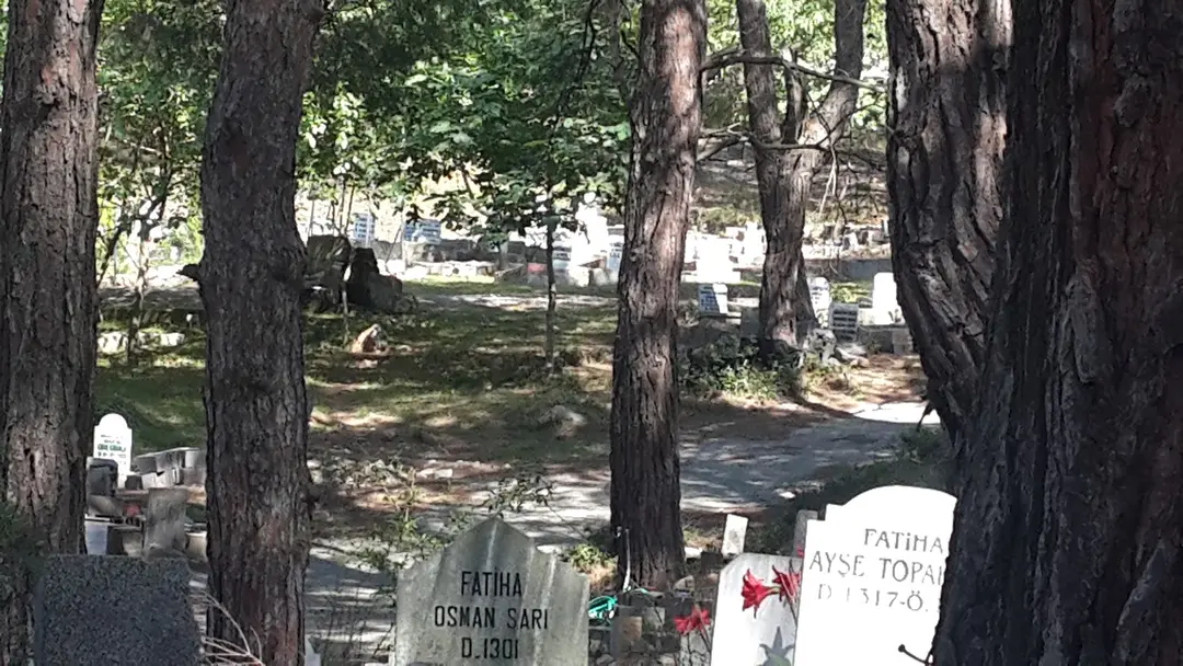 Kastal Piknik Alan — Hatay — küçük resim 3