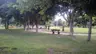 Karaağaç Parkı