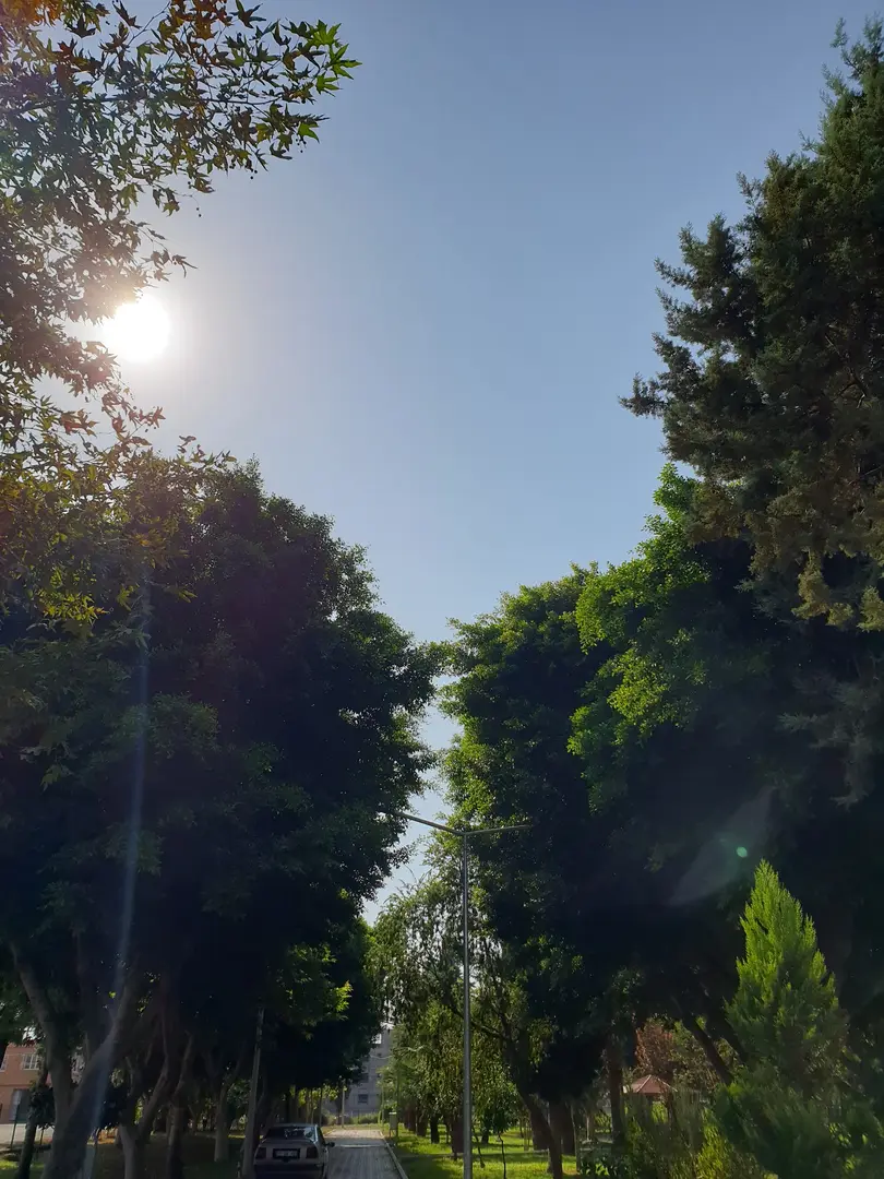 Karaağaç Parkı — Hatay — küçük resim 2