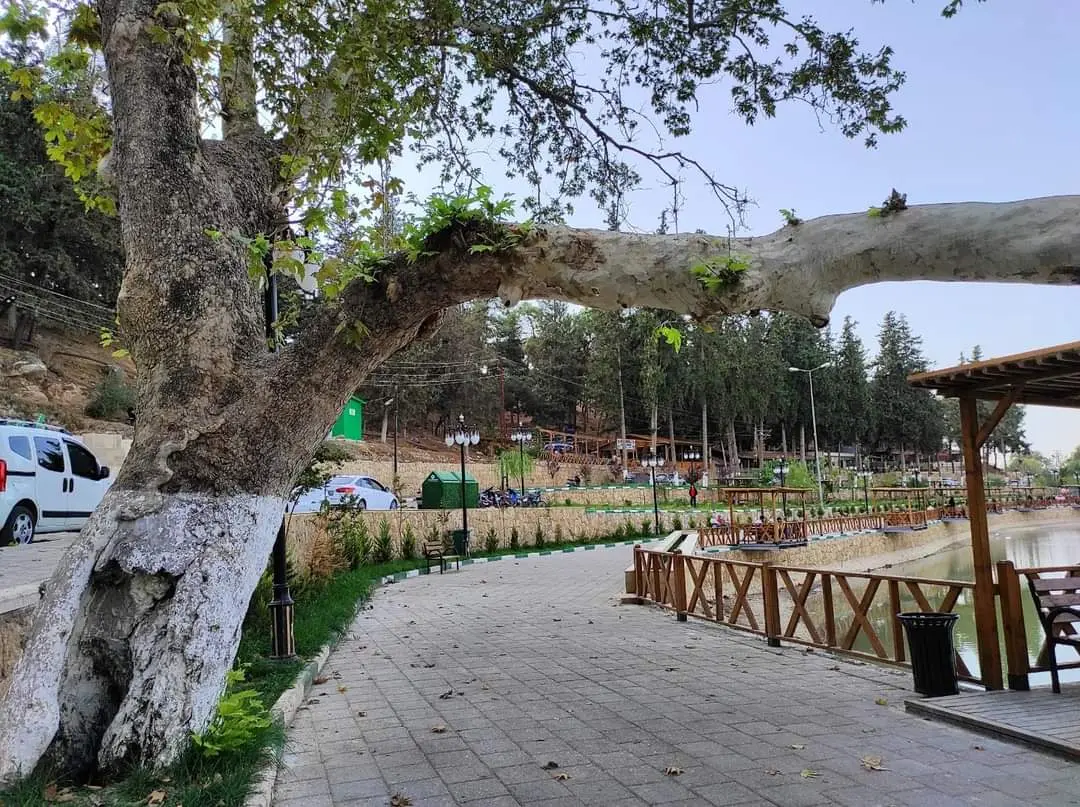 Parc du Lac Yenişehir — Hatay — küçük resim 5