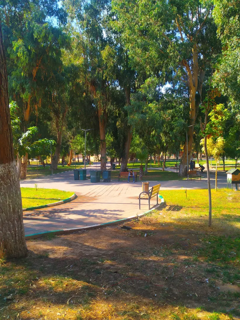 Parc du Lac Yenişehir — Hatay — küçük resim 7