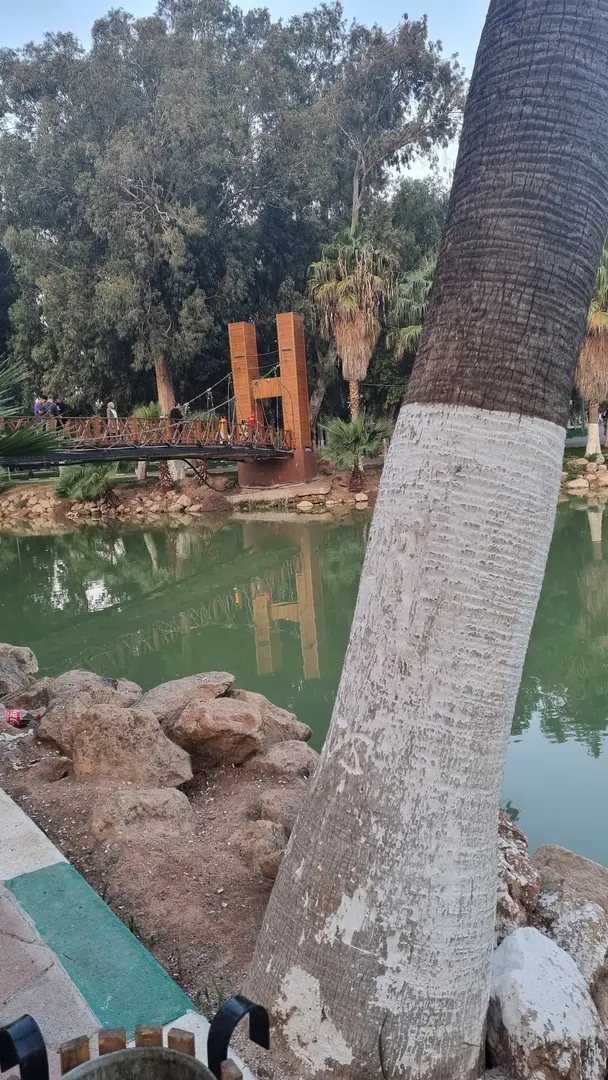 Parc du Lac Yenişehir — Hatay — küçük resim 9
