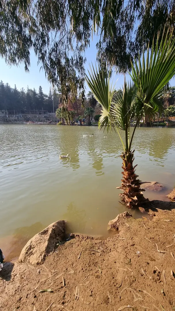 Parc du Lac Yenişehir — Hatay — küçük resim 10
