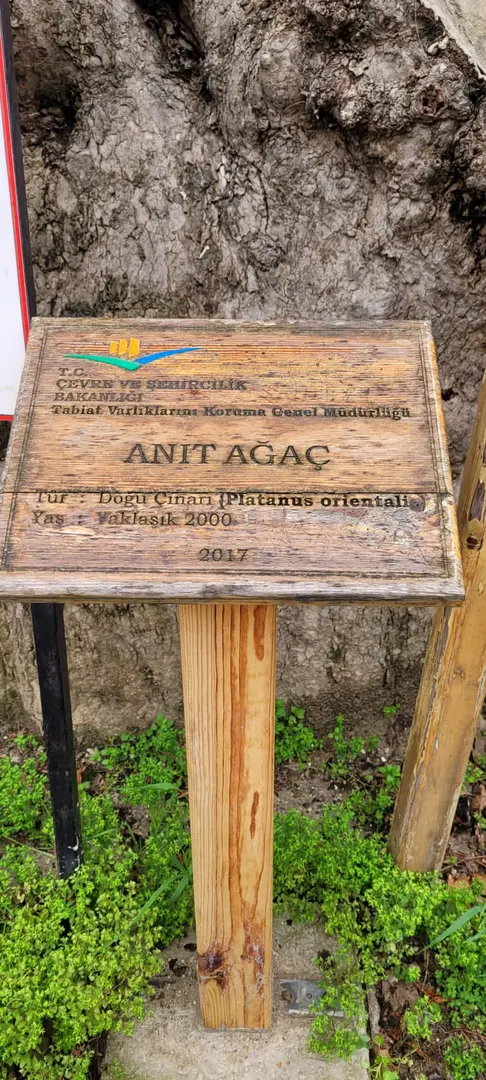 Musa Ağa — Hatay — küçük resim 7