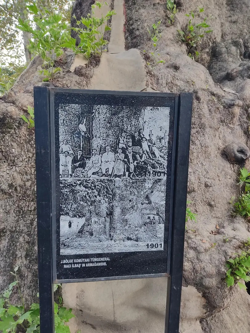 Musa Ağa — Hatay — küçük resim 3