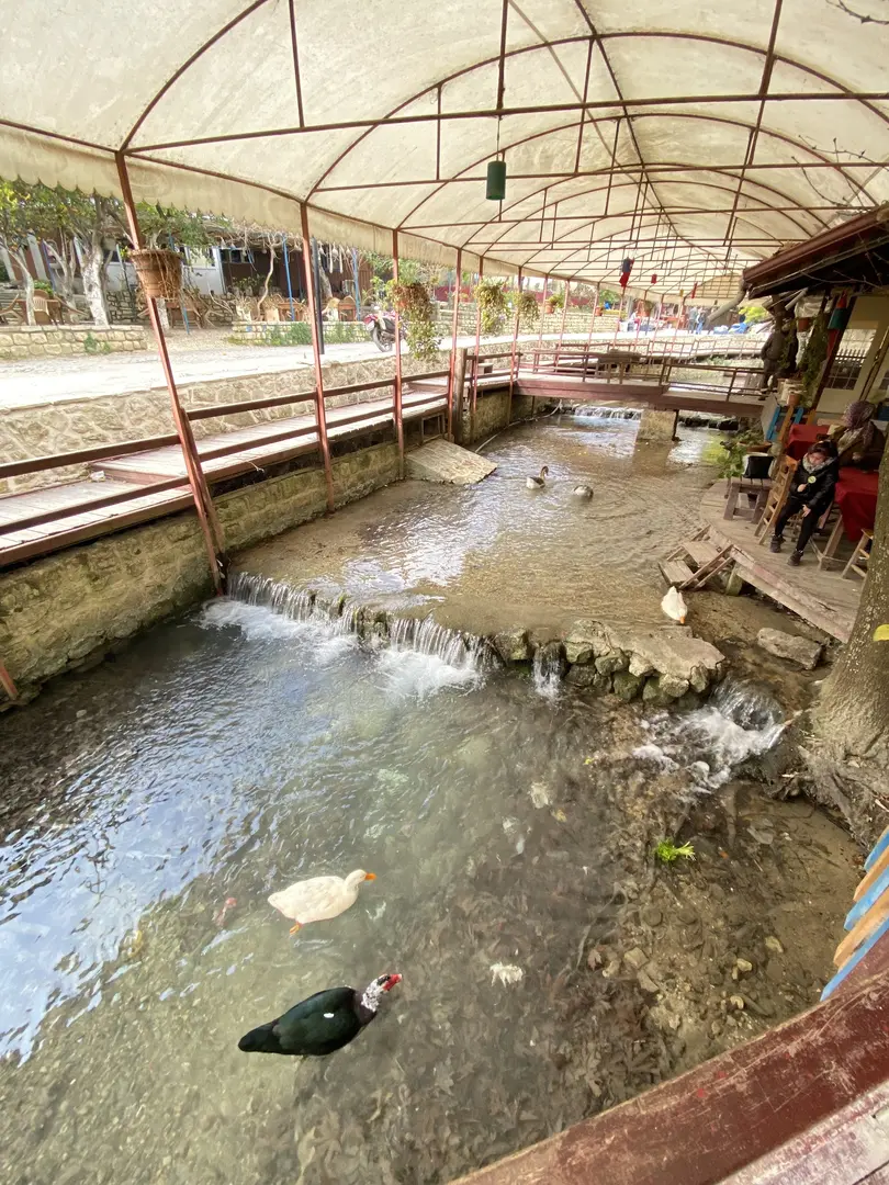 Musa Ağa — Hatay — küçük resim 5