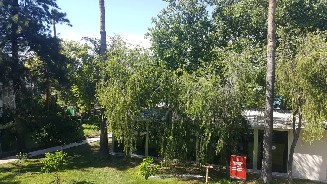 Uluçınar Special Education Center Command — Hatay — küçük resim 10