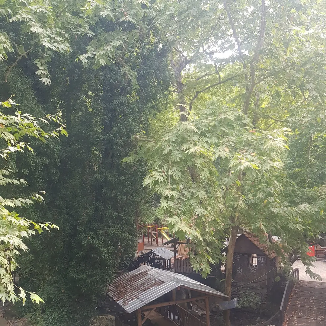 Beşikgöl Nature Restaurant Picnic Area — Hatay — küçük resim 7