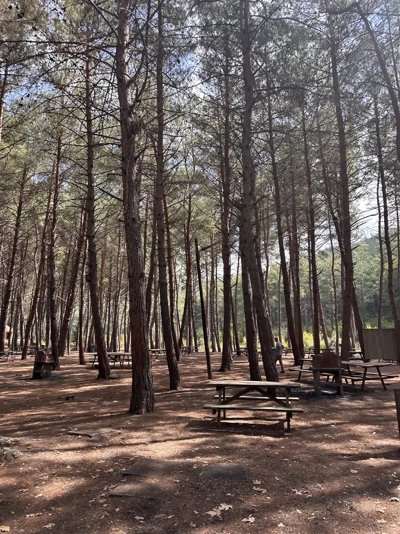 Çiftmazı Tabiat Parkı — Osmaniye — küçük resim 5