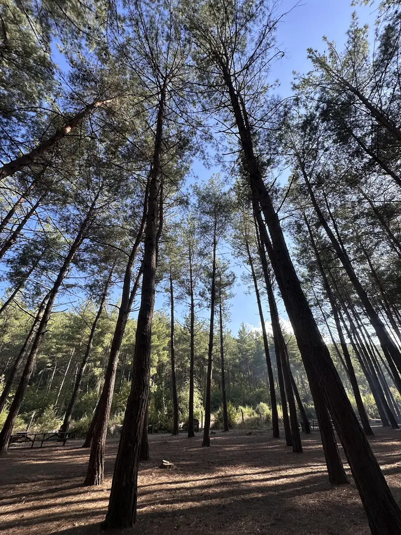 Çiftmazı Tabiat Parkı