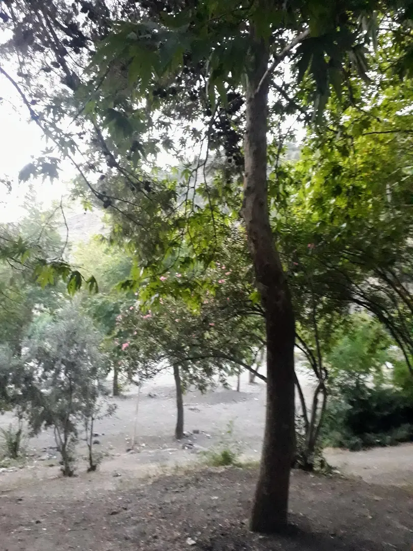 Karacalar Kavşağı — Osmaniye — küçük resim 5
