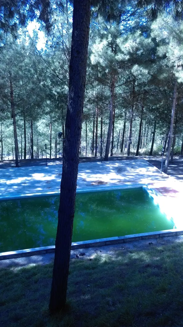 Polis Hatıra Forest — Osmaniye — küçük resim 3
