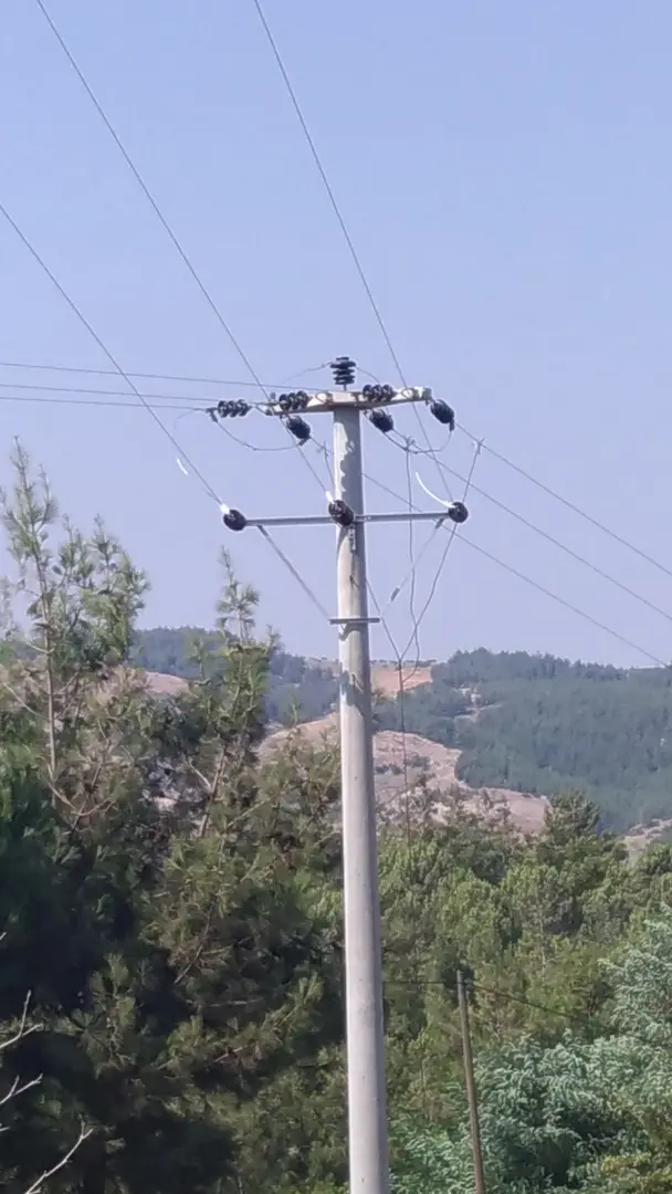 Polis Hatıra Forest — Osmaniye — küçük resim 4