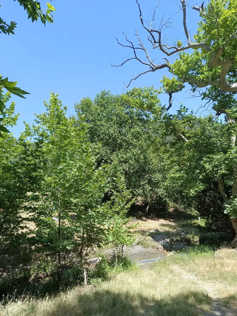 Area Camping Düziçi Dağcılık — Osmaniye — küçük resim 2