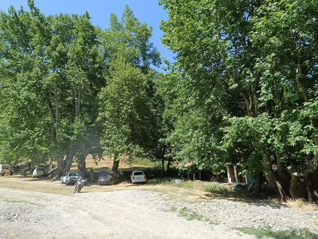 Area Camping Düziçi Dağcılık — Osmaniye — küçük resim 3