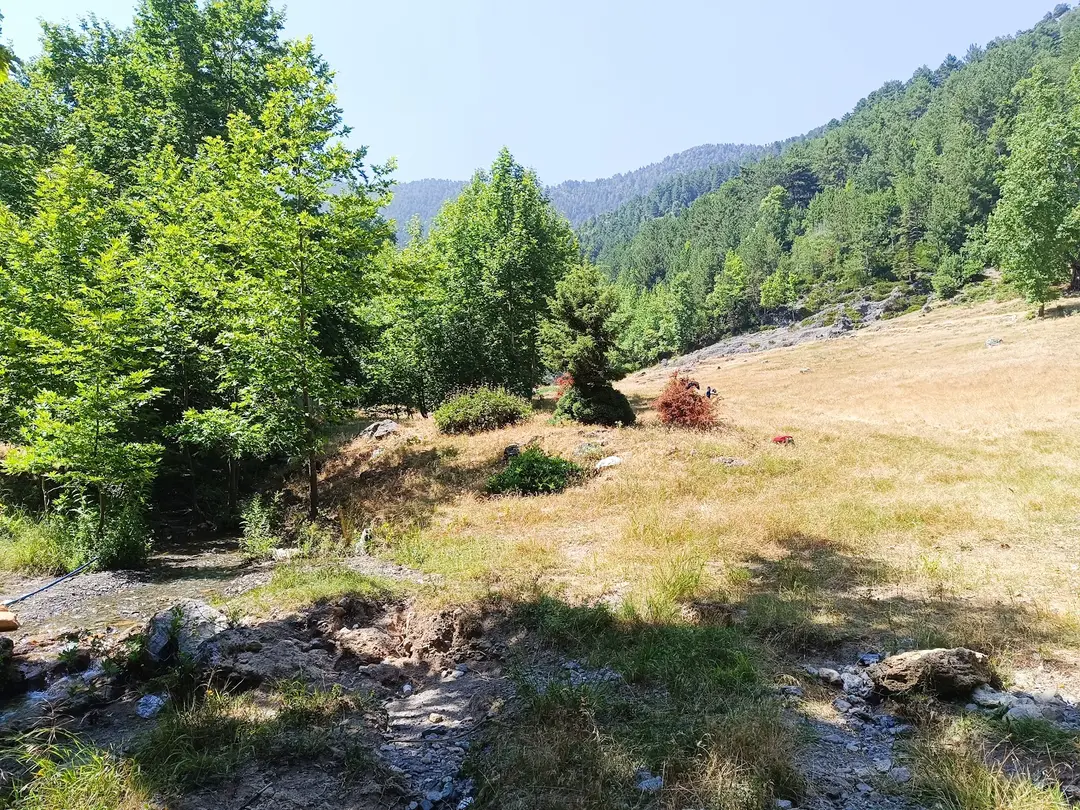 Area Camping Düziçi Dağcılık — Osmaniye — küçük resim 4
