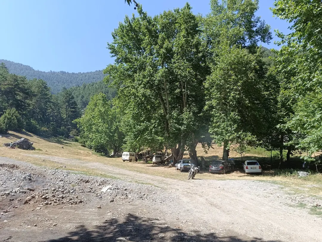 Düziçi