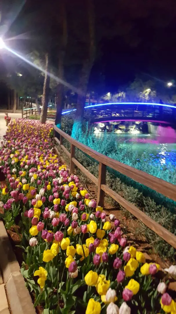 Şehitkâmil Dülükbaba Holiday Area — Gaziantep — küçük resim 6