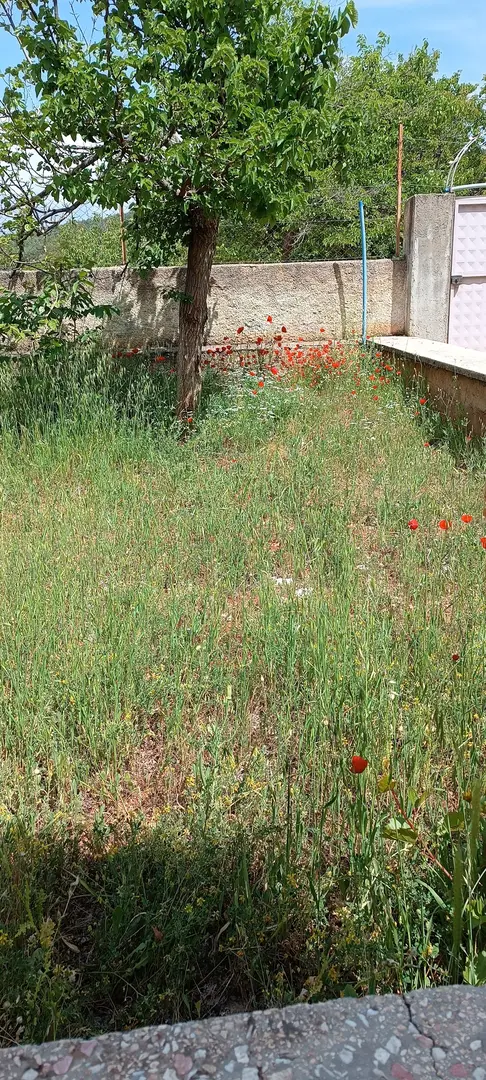 ULUTAŞ BUNGALOW — Gaziantep — küçük resim 4