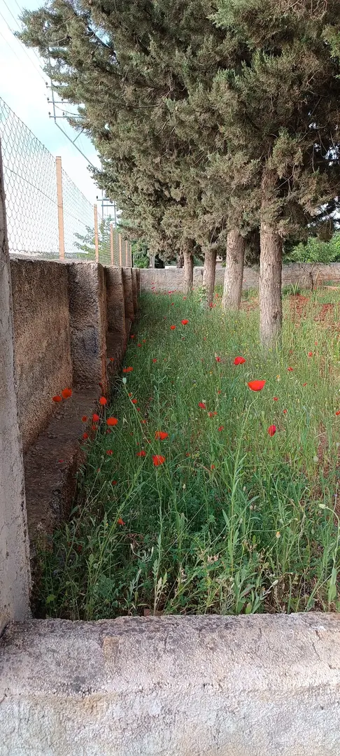 ULUTAŞ BUNGALOW — Gaziantep — küçük resim 5