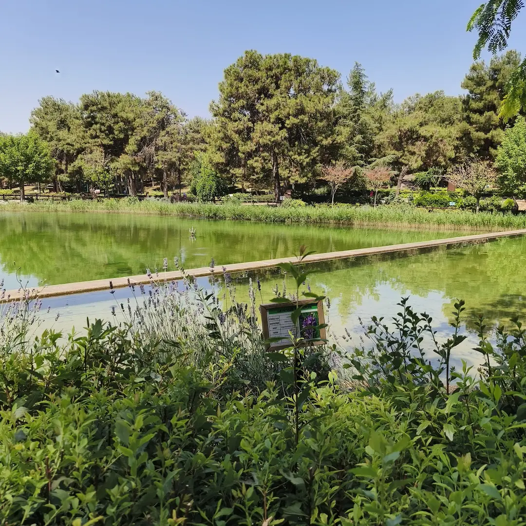 Erikçe Picnic Area — Gaziantep — küçük resim 10