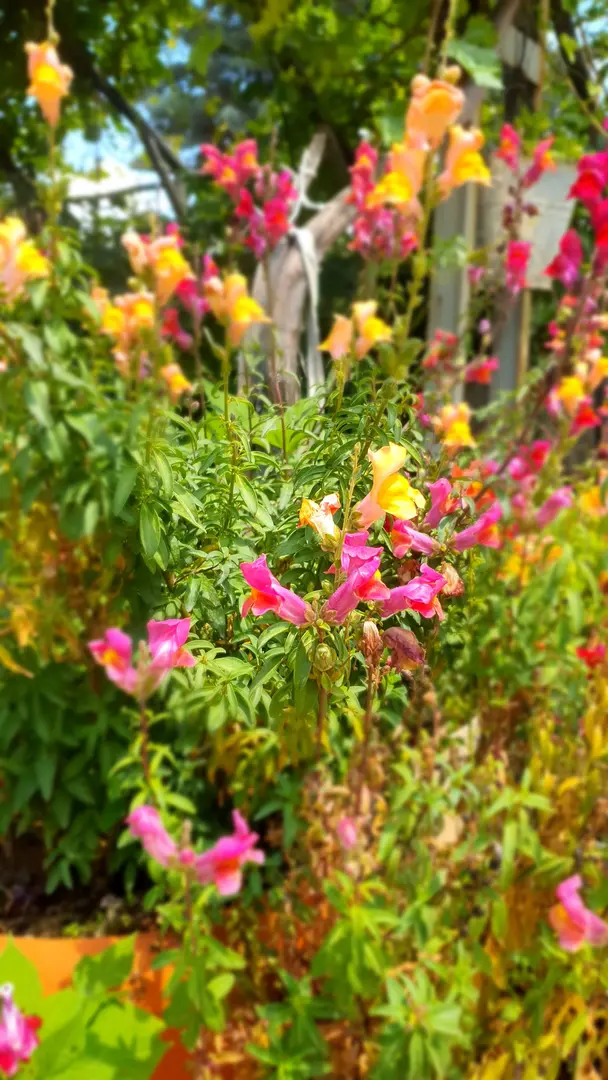 Parco Naturale Yamaçtepe — Gaziantep — küçük resim 4