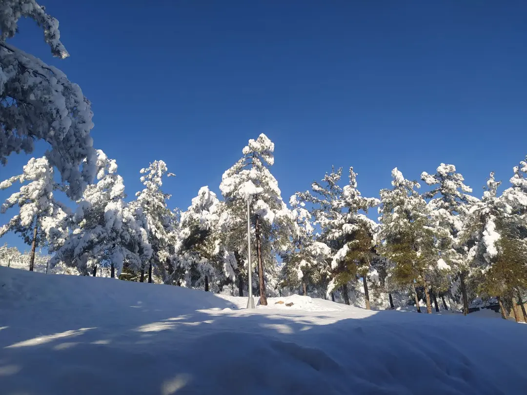 Parco Naturale Yamaçtepe — Gaziantep — küçük resim 3