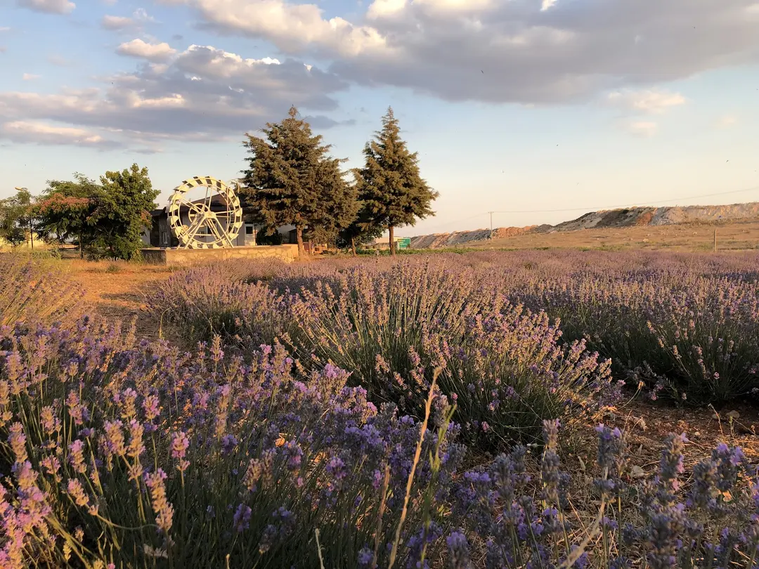 KIRAÇTEPE PARK ORMAN — Gaziantep — küçük resim 2