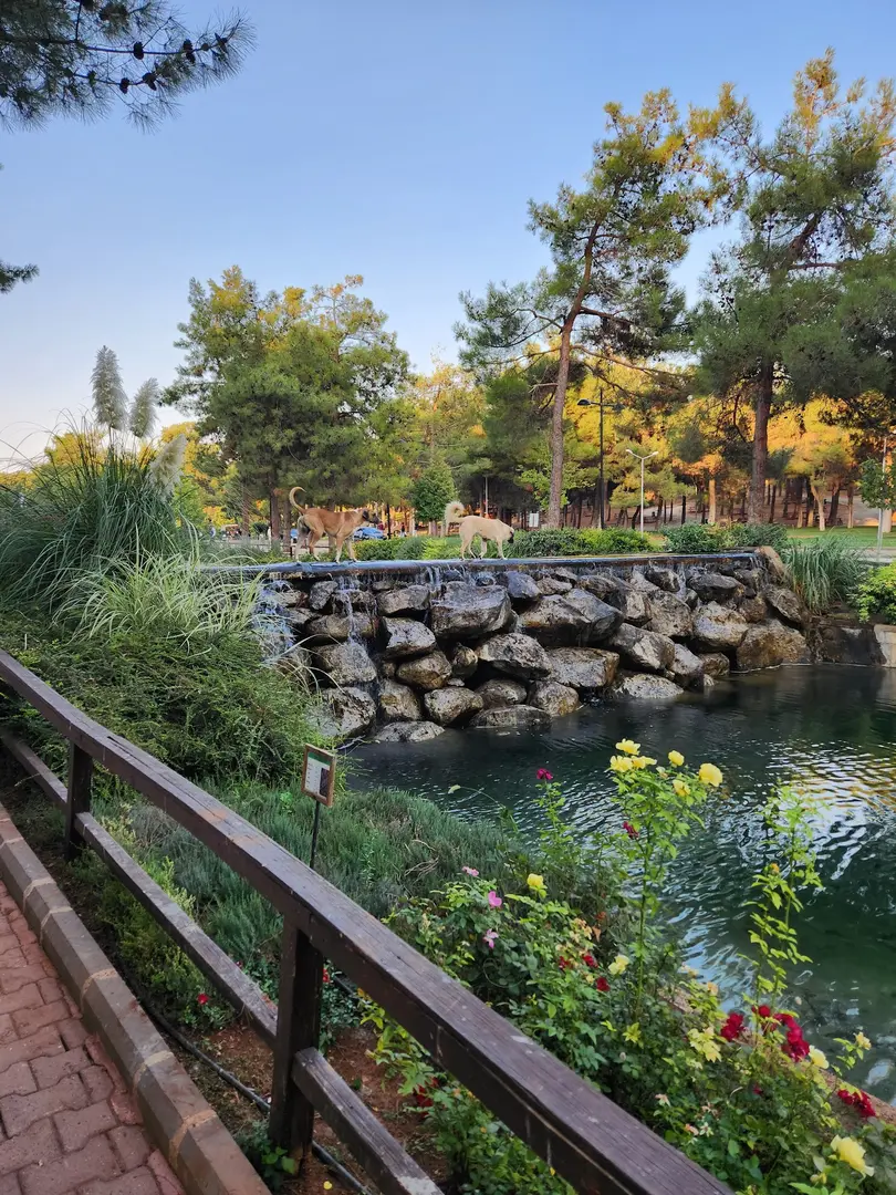 Dülük Baba Forest — Gaziantep — küçük resim 10