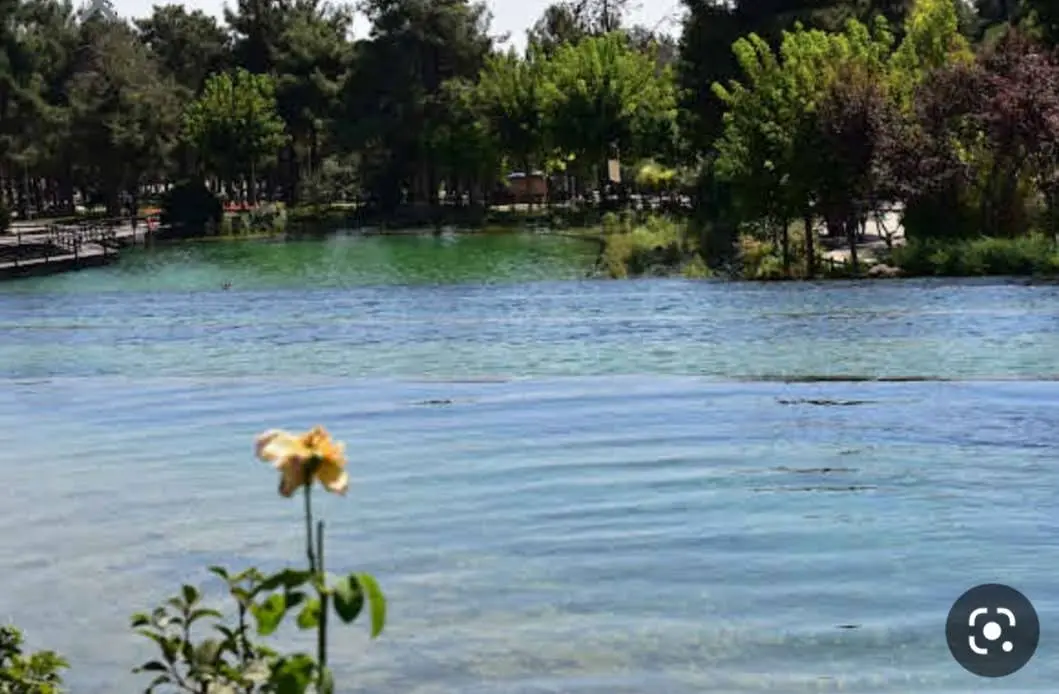 Dülük Baba Forest — Gaziantep — küçük resim 5
